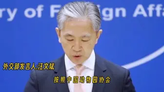 Télécharger la video: 重量级人物已经为丫丫发声，丫丫月底必须回国，中方已经做好迎接丫丫回国准备工作。