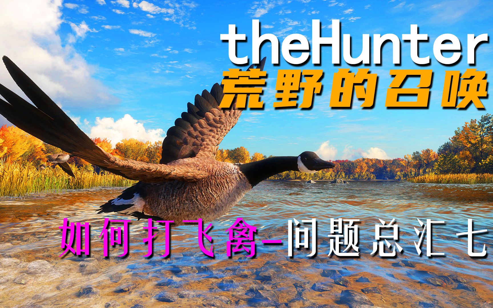 [图]《theHunter: Call of the Wild荒野的召唤》如何打飞禽-问题总汇七