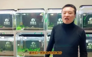 Download Video: 水晶虾一天死一个是什么原因