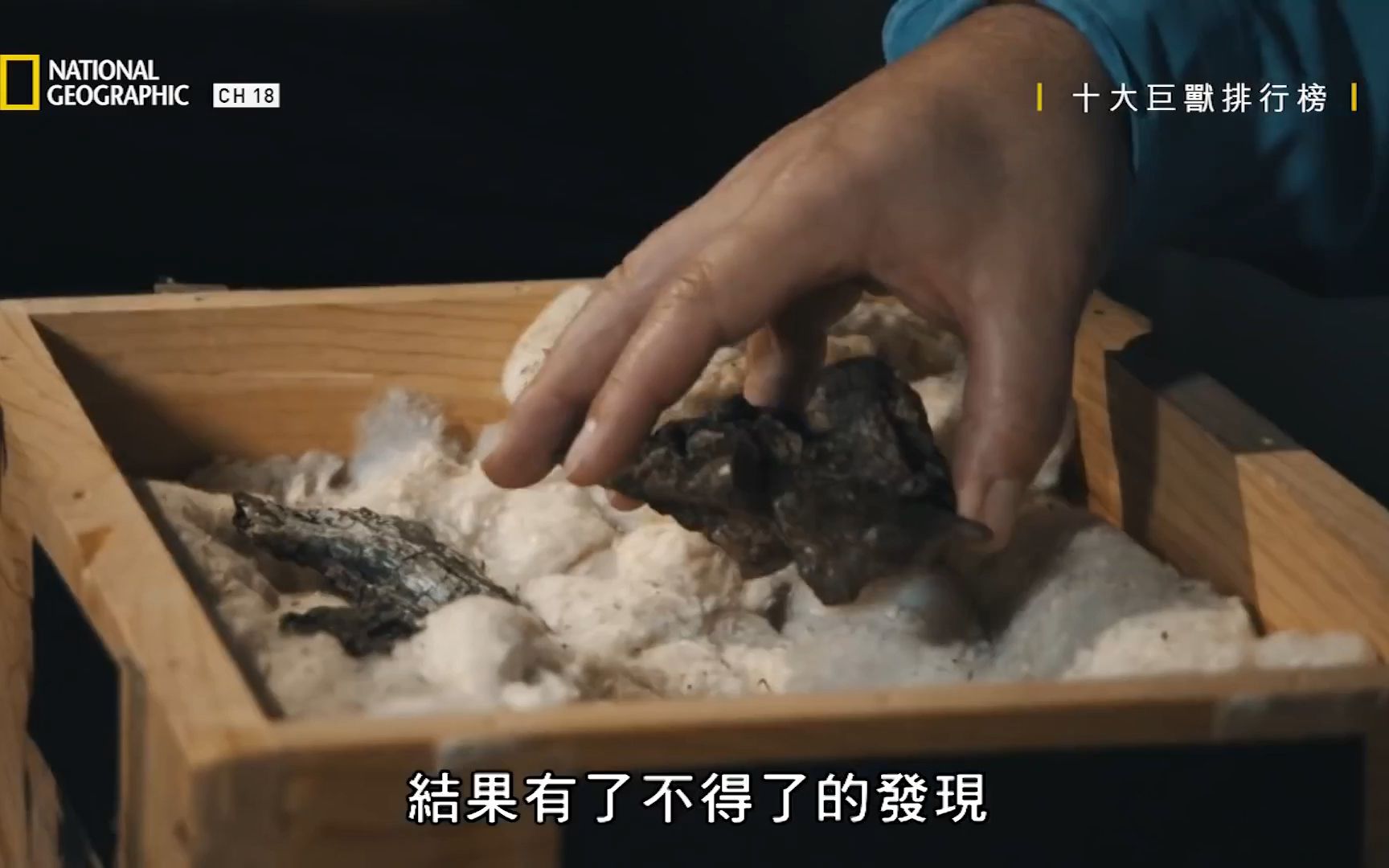 猛兽排行_《十大巨兽排行榜》第六名:泰坦...