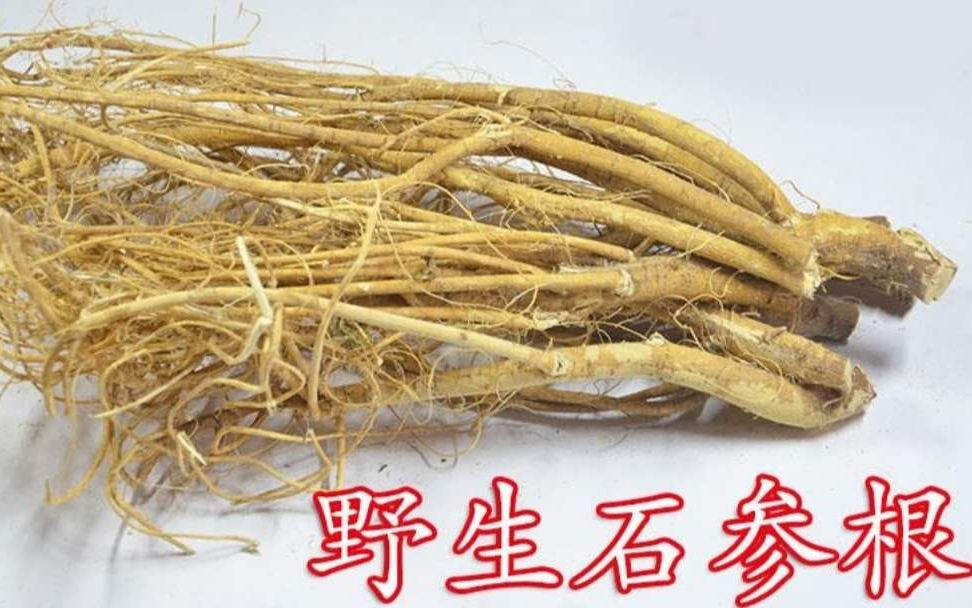 俗话说北有人参,南有石参,可见石参在南方的价值,炖汤喝一级棒