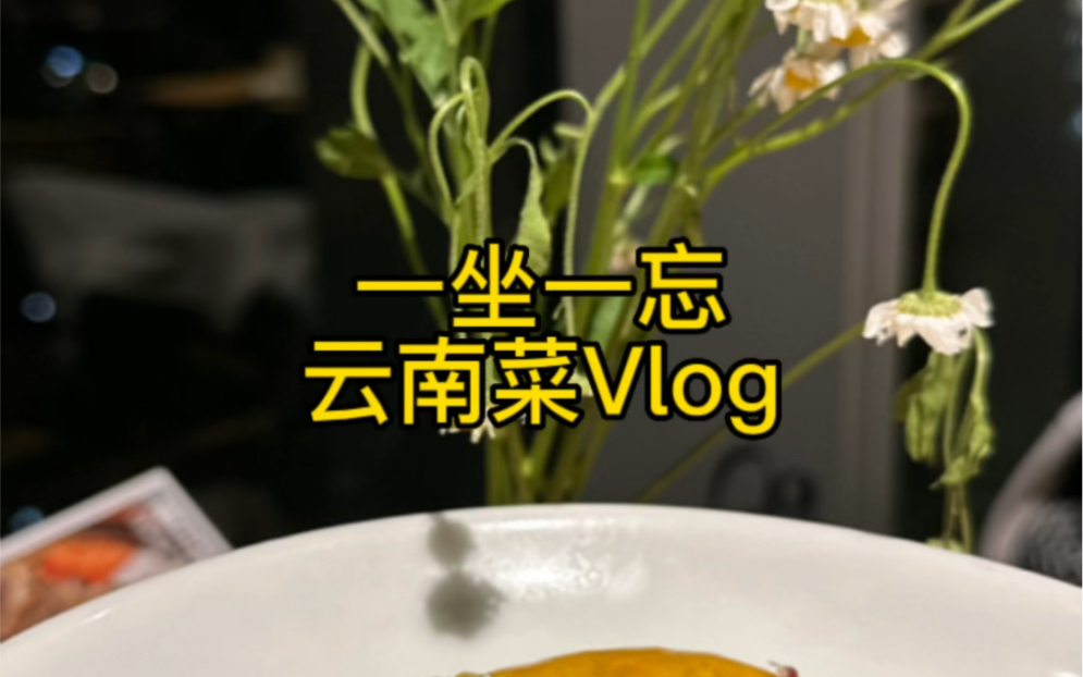 2023第八十七集|一坐一忘云南菜Vlog.哔哩哔哩bilibili