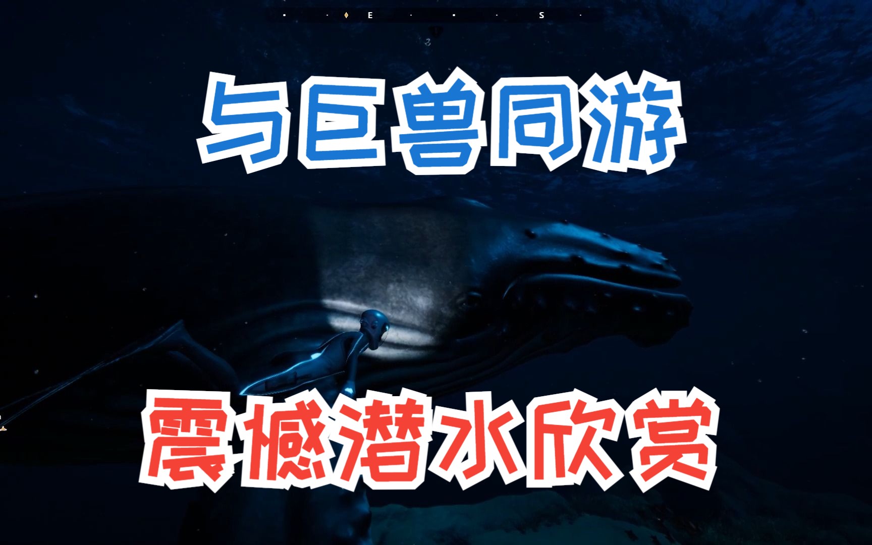 与巨兽同游 沉浸式深海潜水欣赏 超越蔚蓝 纯欣赏 不需要解说 攻略的科普游戏 唯美 经典探险 科普类游戏游戏实况