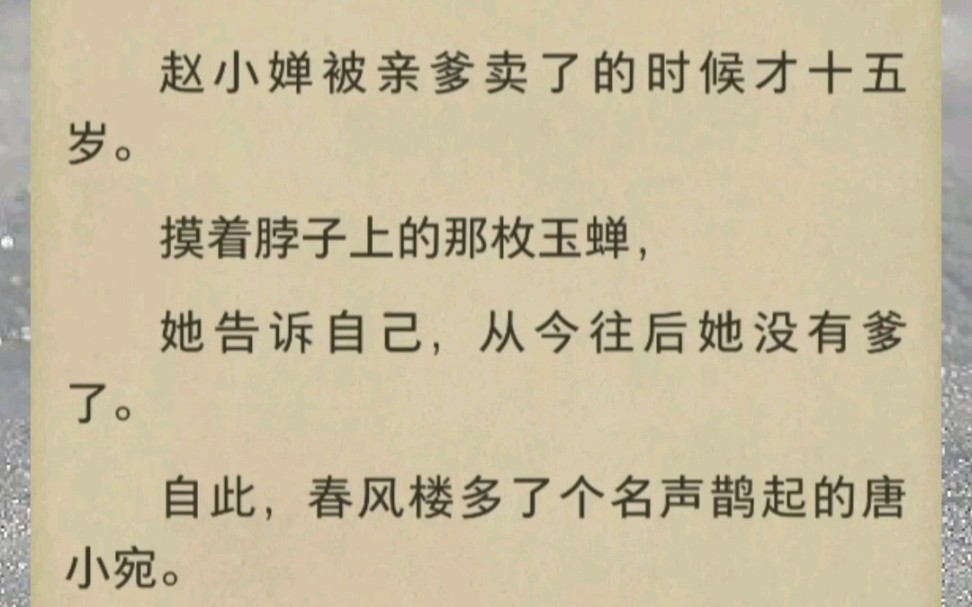 赵小婵被亲爹卖了的时候才十五岁.摸着脖子上的那枚玉蝉,她告诉自己,从今往后她没有爹了.自此,春风楼多了个名声鹊起的唐小宛.哔哩哔哩bilibili