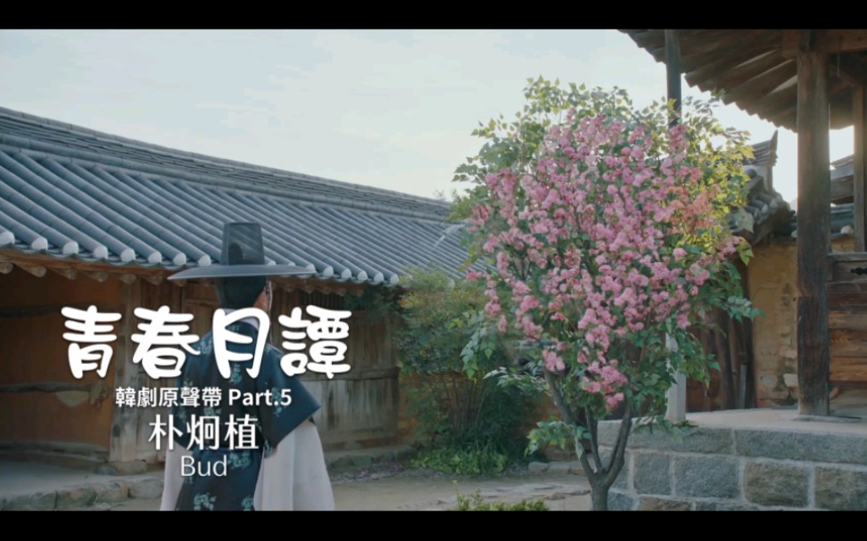 青春月谭OST part.5 朴炯植《花蕾》华纳版中字哔哩哔哩bilibili