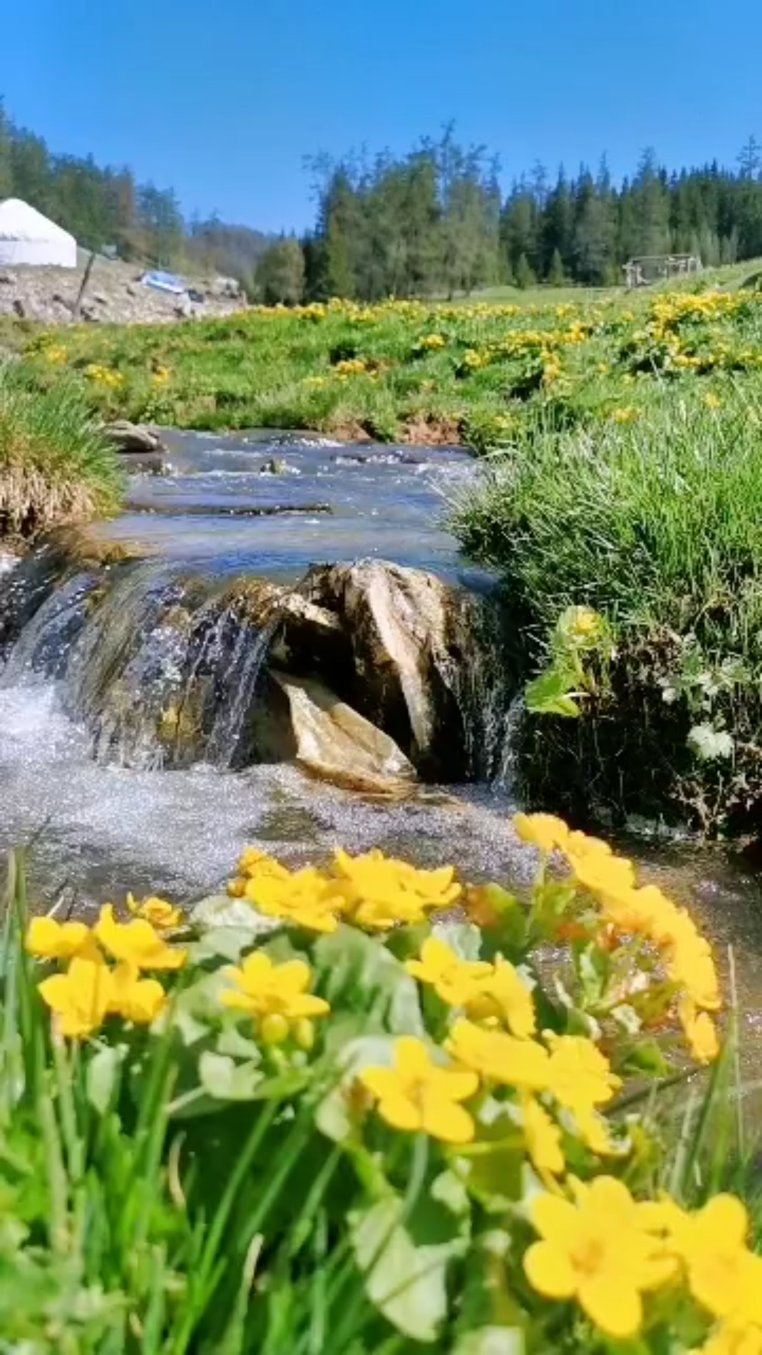 [图]青藏高原美丽风景