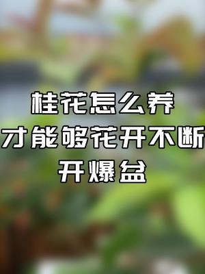 茶花、茉莉花、栀子花、米兰、杜鹃......这些喜酸型的植物,都可以用这款专用肥料,叶子绿油油开花多哔哩哔哩bilibili