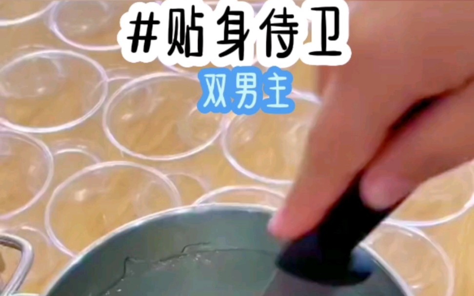 茗《贴身侍卫》小说推荐哔哩哔哩bilibili