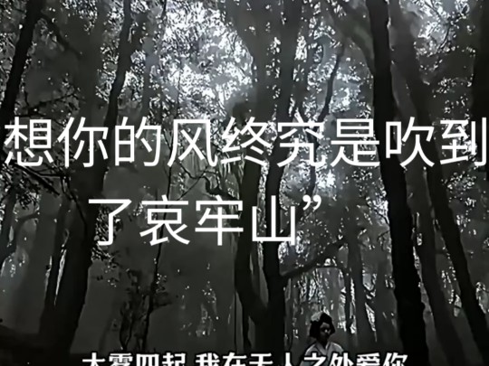 大型纪录片《哀牢山探险》持续为您播出!哔哩哔哩bilibili