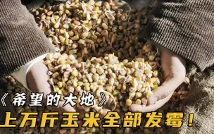 Video herunterladen: 农民把粮食存进粮库，取货时却发现粮仓漏水，上万斤玉米都发了霉