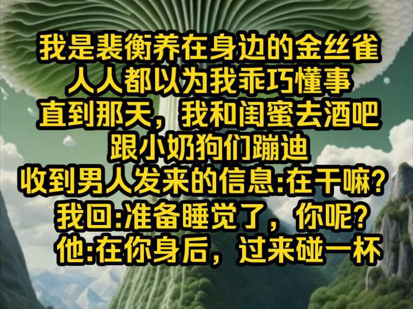 《南夕甜梦》我是裴衡养在身边的金丝雀,人人都以为我乖巧懂事.直到那天,我和闺蜜去酒吧跟小奶狗们蹦迪,收到男人发来的信息,在干嘛?我回:...