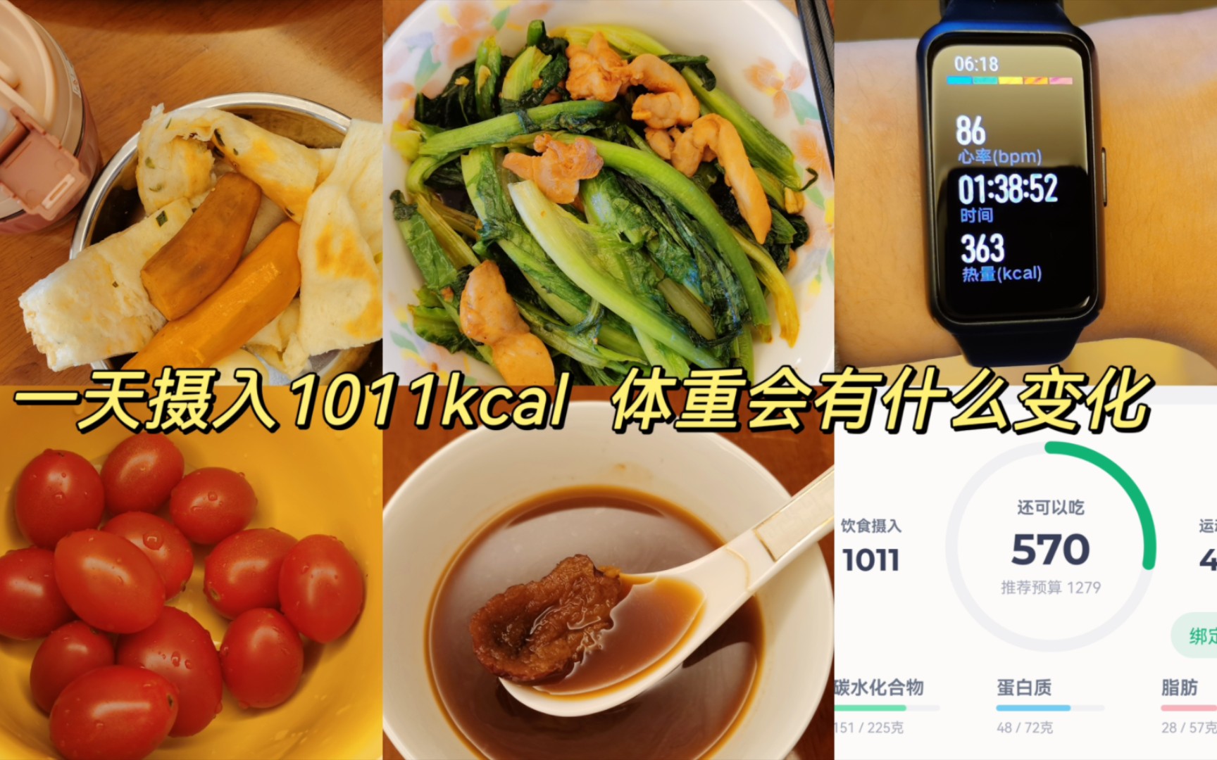 一天摄入1011kcal 体重会有什么变化哔哩哔哩bilibili