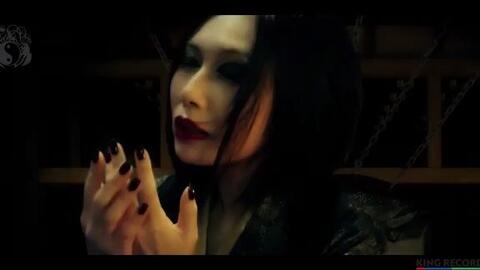 搜索 哔哩哔哩 つロ干杯 Bilibili