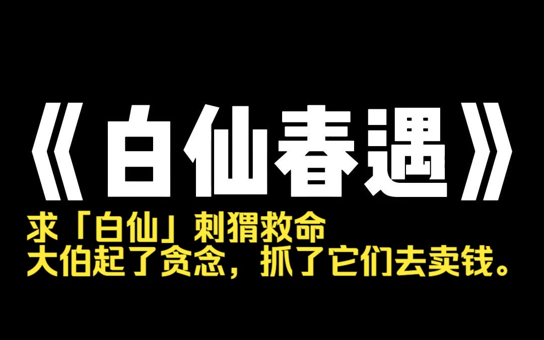 小说推荐~《白仙春遇》过年时,我和小伙伴玩炮仗炸成重伤.奶奶叫人把我们抬到山上,求「白仙」刺猬救命.大伯起了贪念,抓了它们去卖钱.给整个村...