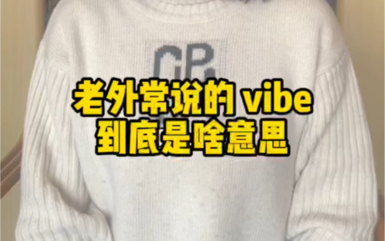 老外常说的vibe 到底是啥意思哔哩哔哩bilibili