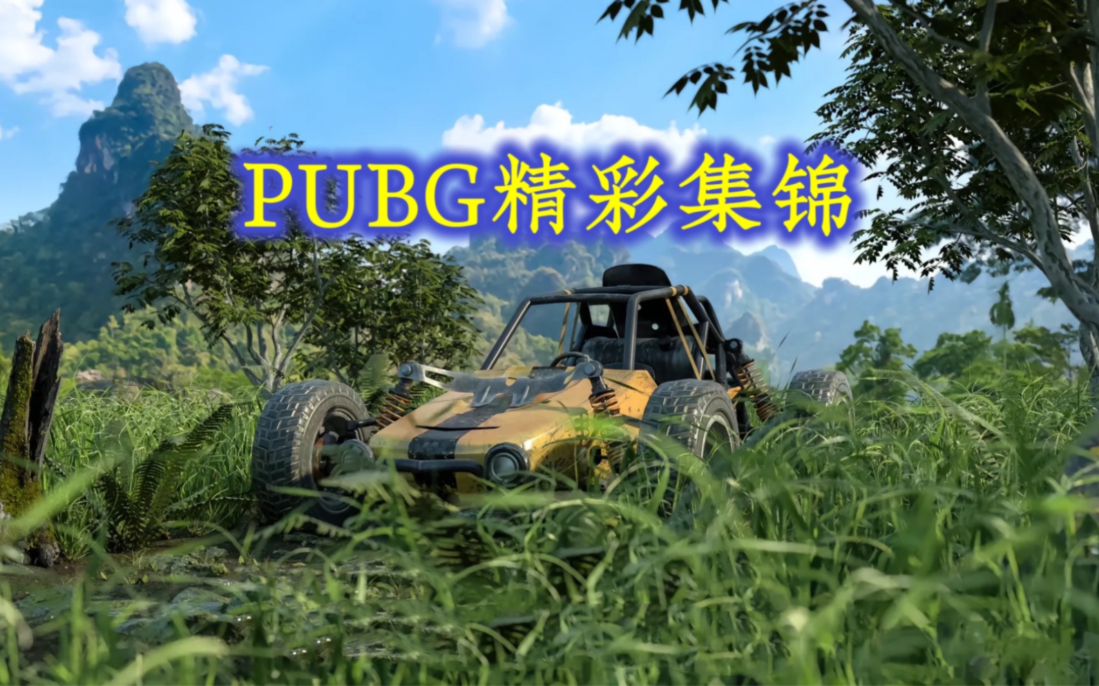 [图]PUBG精彩集锦019