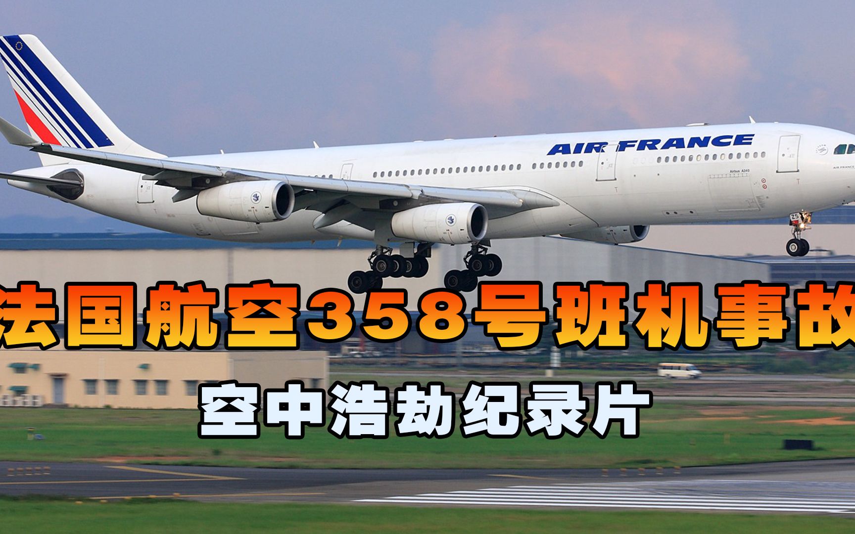 [图]法国航空358号班机，飞机降落机场后失控冲出跑道坠毁，空中浩劫