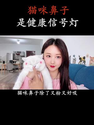 怎么从猫咪鼻子的状态,了解猫咪的健康状况呢?哔哩哔哩bilibili