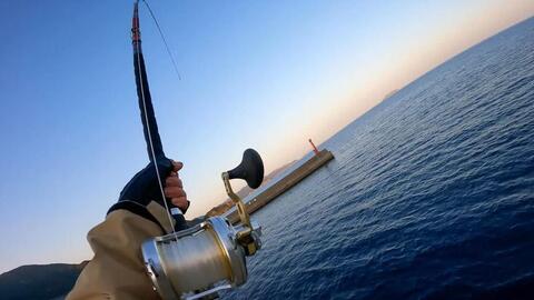 堤防钓鱼 提防毒物 哔哩哔哩