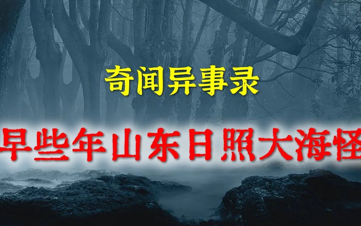 【灵异事件】早些年前山东日照大海怪 民间鬼故事 真实灵异 解压故事 灵异诡事 恐怖故事 【民间鬼故事之奇闻异事录】哔哩哔哩bilibili