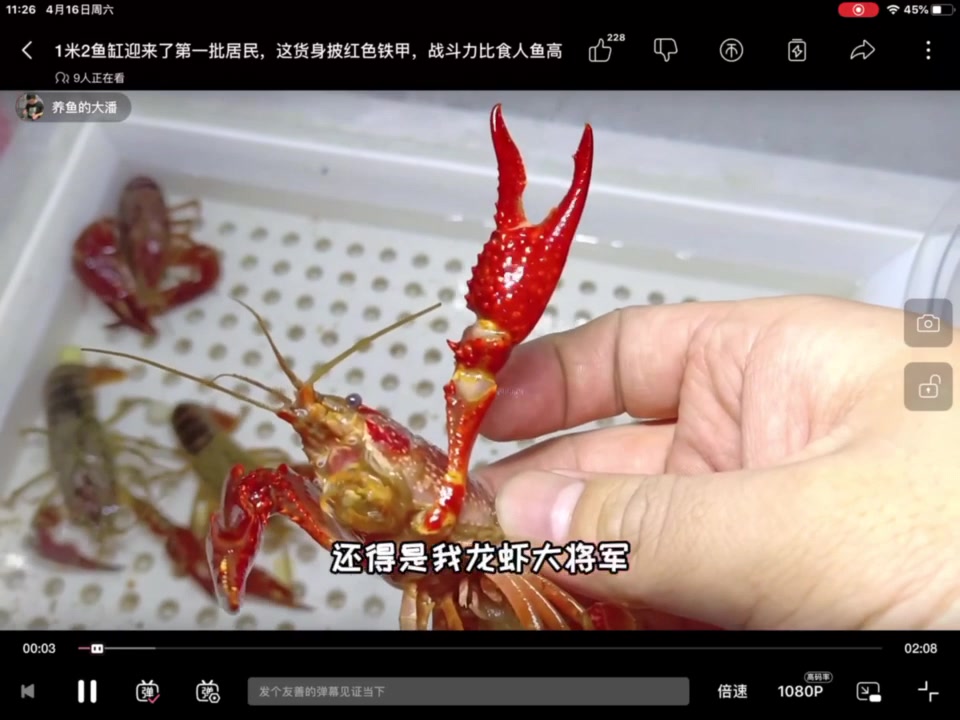 养鱼的大潘变了