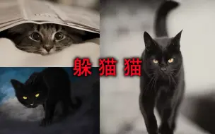 Download Video: 你们还记得小时候一起玩躲猫猫的小伙伴吗？