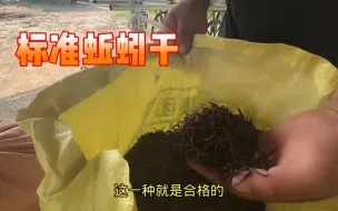 Download Video: 已经把晒蚯蚓干流程都教一遍了，为什么还要发这样的货很是恼火。