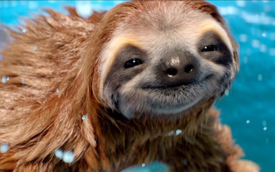 【the mill】动物模型特效剪辑合集