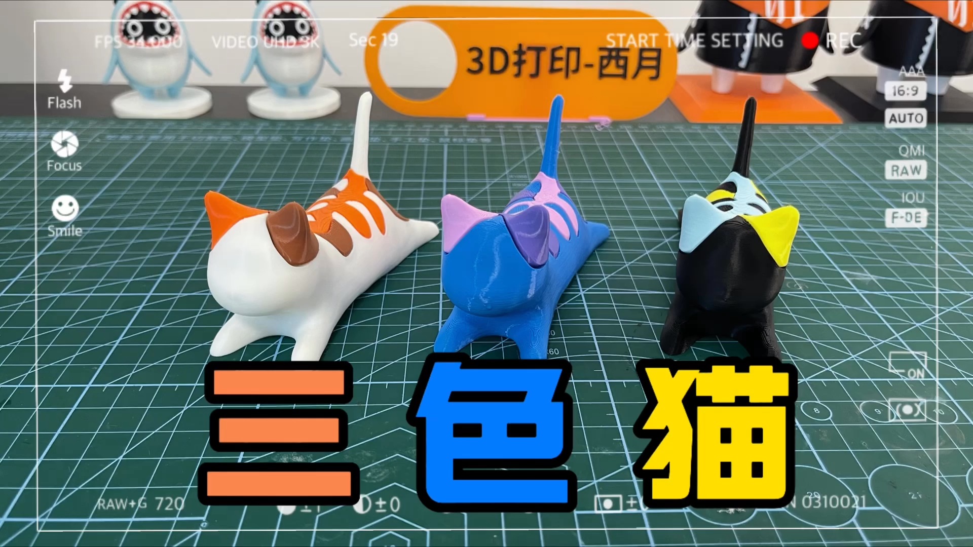 【3D打印】三色猫你能记住它的颜色吗?哔哩哔哩bilibili