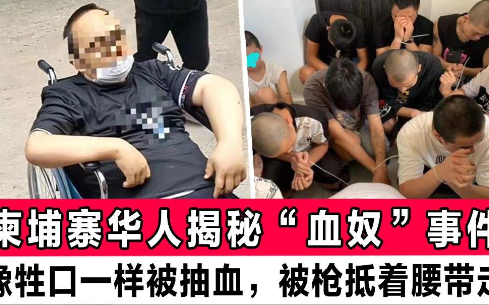 柬埔寨华人揭秘"血奴"事件:男子像牲口一样被抽血,被枪抵着腰带走