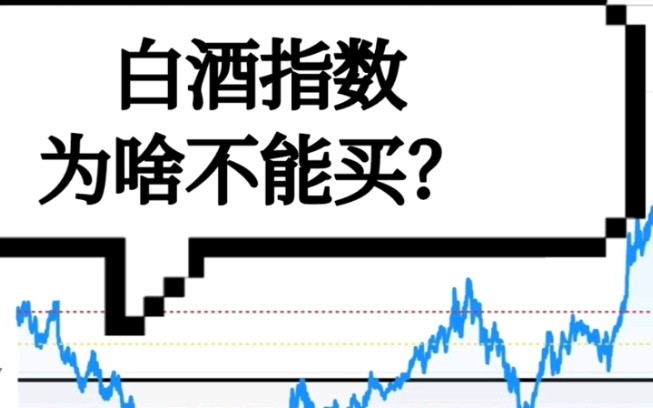 三分钟看懂白酒指数基金为啥不建议大家买?哔哩哔哩bilibili