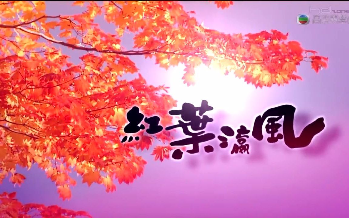 红叶瀛风(中文字幕)旅游节目哔哩哔哩bilibili