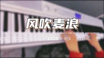 美得理SPA500电钢琴试奏 伴唱《风吹麦浪》