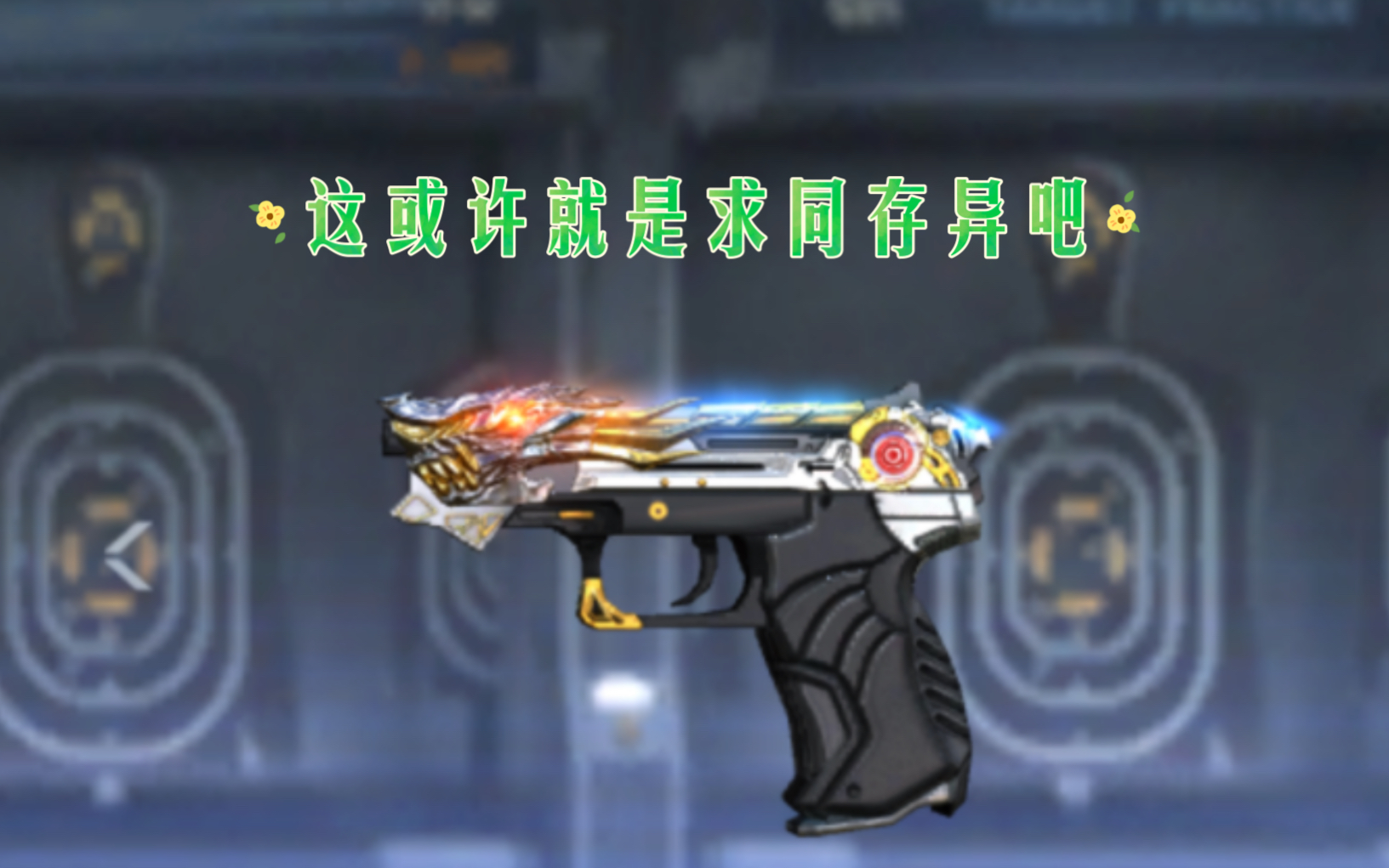 《cfm》(新)usp-雷暴体验(虽然是usp,但我觉得他是新usp)