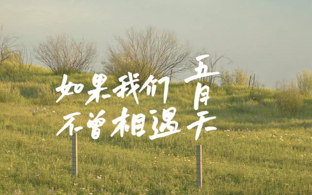 动态歌词排版||如果我们不曾相遇||五月天