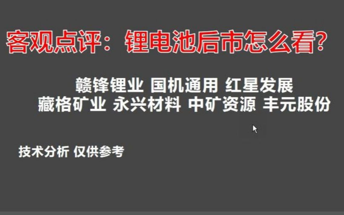 点评复盘分析:赣锋锂业 藏格矿业 永兴材料 中矿资源 红星发展 锂电池止跌了吗哔哩哔哩bilibili