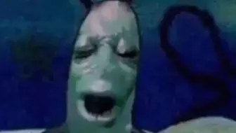 浮游生物