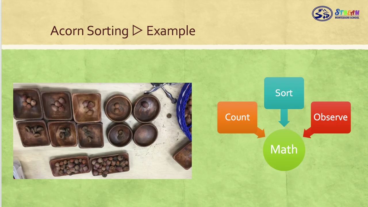 [图]Montessori acorn sorting