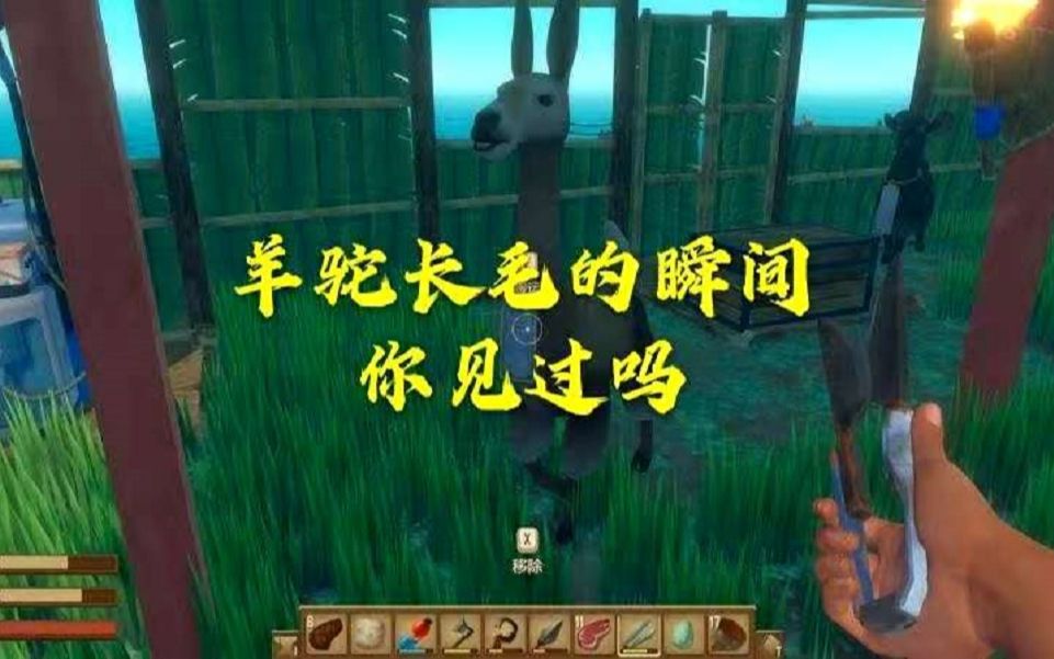 raft木筏生存你见过羊驼的毛是一瞬间长出来的吗