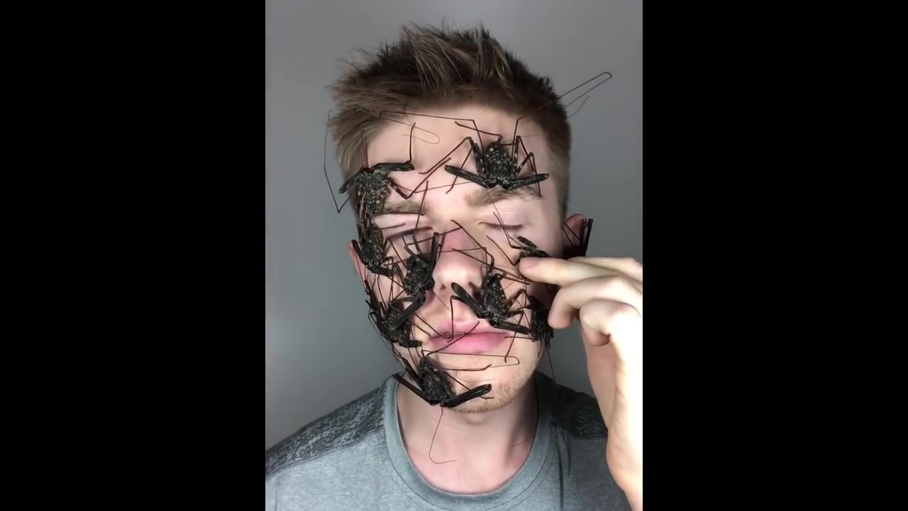 【youtube】11只鞭蛛上脸小白兔在洗脸「梳理毛发」的时候才是最萌的