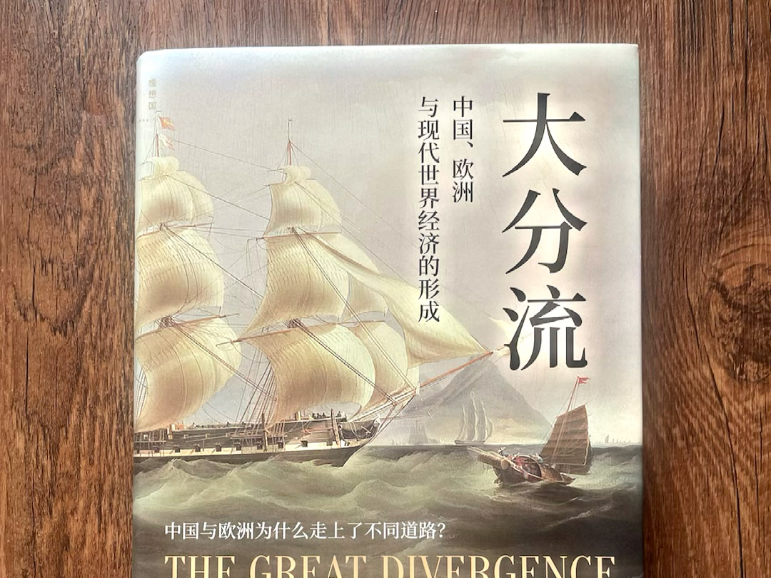 《大分流》是加州学派代表人物彭慕兰的代表作,畅销20年而不衰.哔哩哔哩bilibili