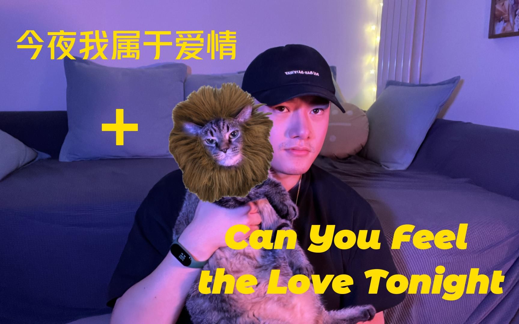 [图]【车乾豪】迪士尼翻唱之Can You Feel the Love Tonight + 今夜我属于爱情 狮子王中英主题曲