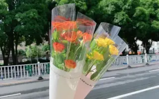 单支花束 哔哩哔哩 Bilibili