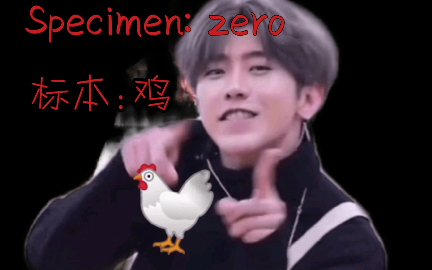 [图]Specimen: zero｜《标本:零》，但是鸡你太美