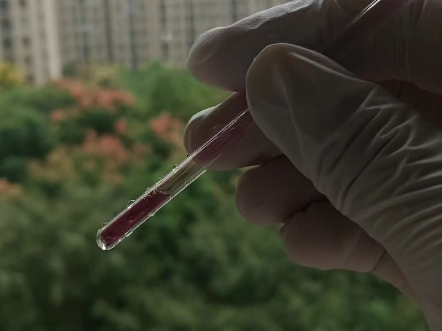 碘染超临界二氧化碳