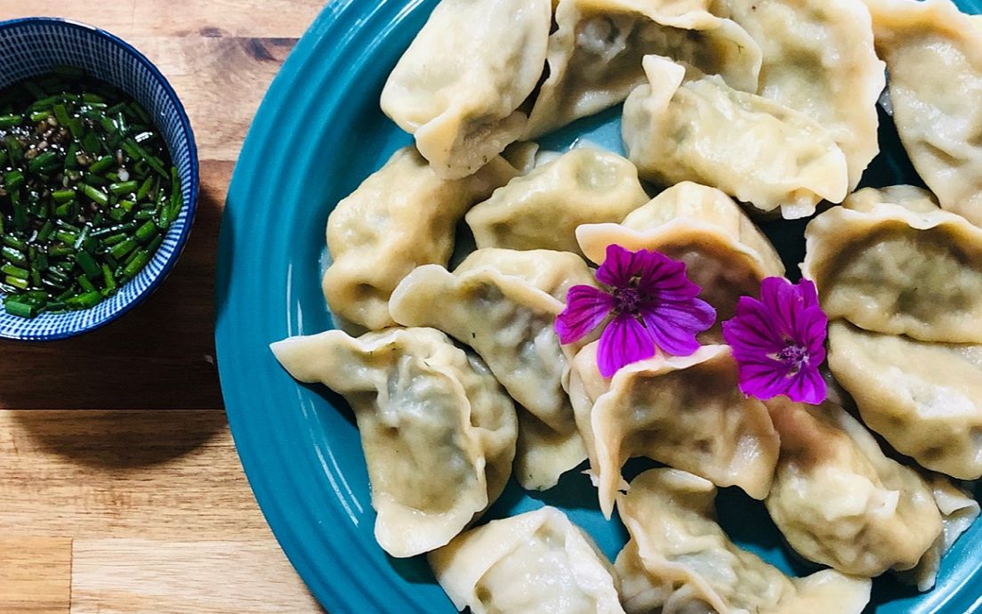 中文版:在爱尔兰,我找到野生土茴香——莳萝,做了莳萝饺子How to make dillpork dumplings by Irish wild dills哔哩哔哩bilibili