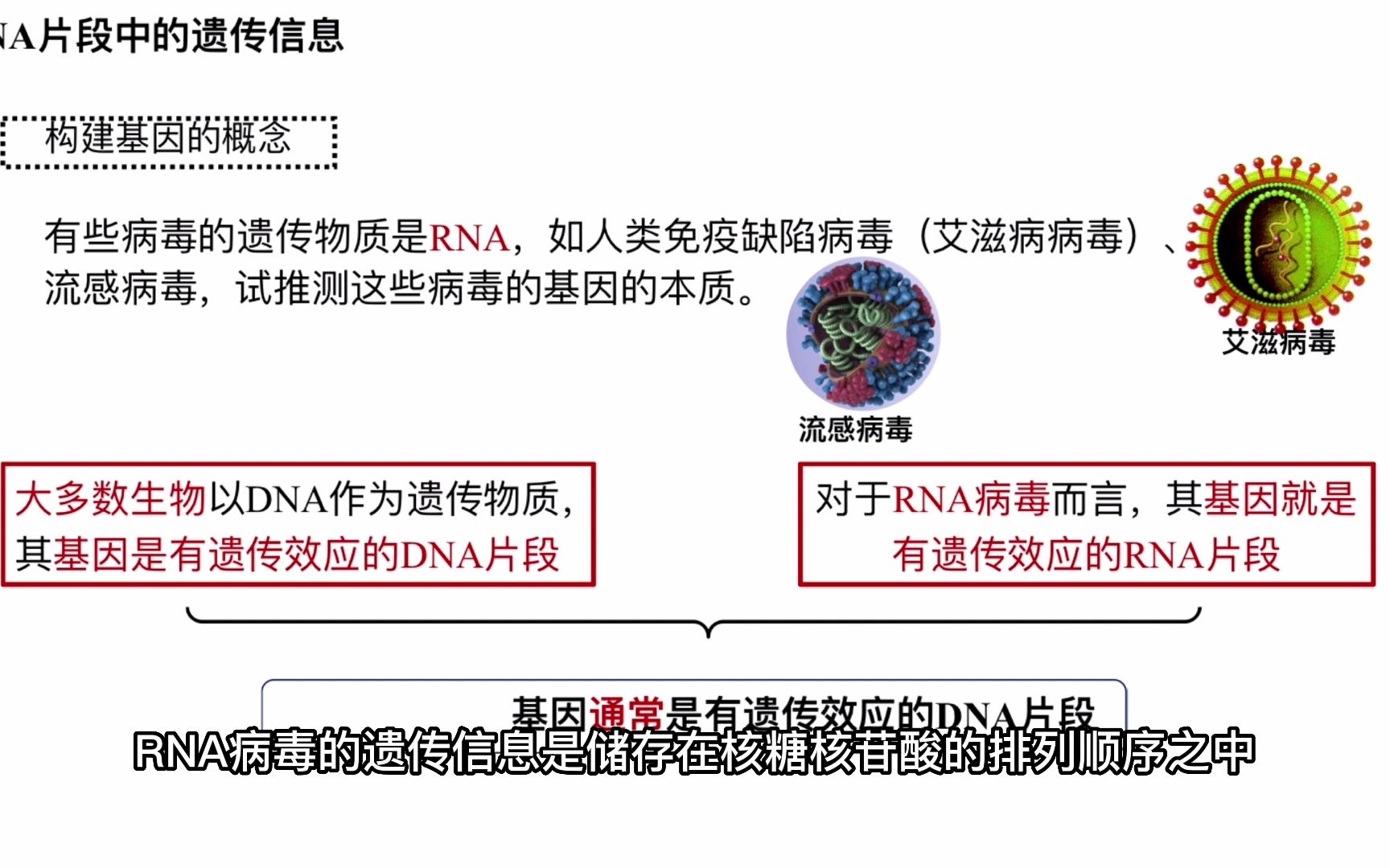 3.4基因通常是有遗传效应的DNA片段教学设计思路及PPT设计哔哩哔哩bilibili