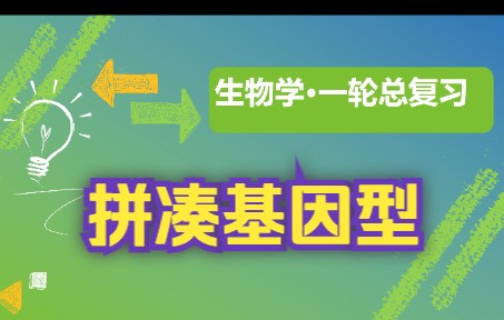 【高中生物一轮复习】5.13分离定律的发现 拼凑法 课时精练高中新高考生物学步步高复习课哔哩哔哩bilibili