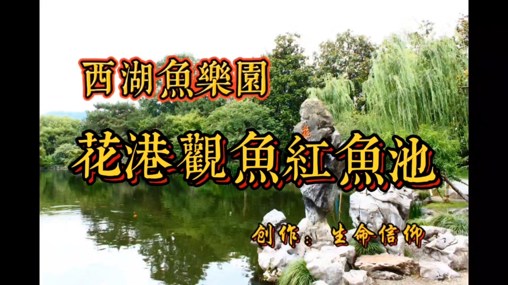 西湖鱼乐园—花港观鱼红鱼池
