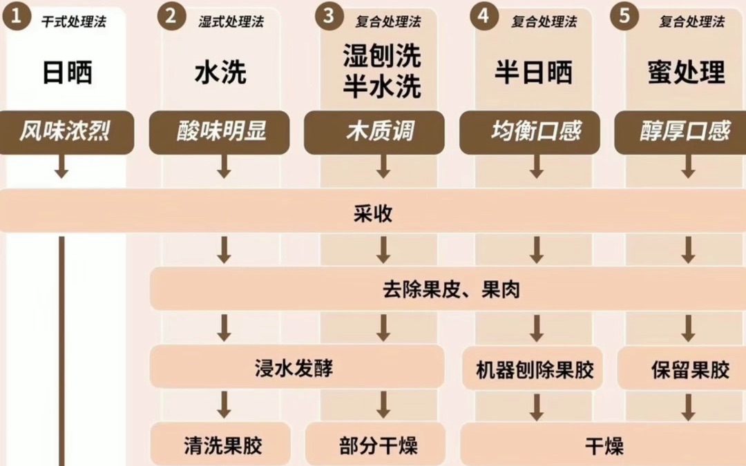 一图秒懂单品咖啡豆处理法和风味特点